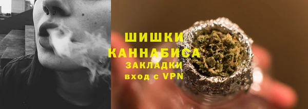 прущие грибы Абинск