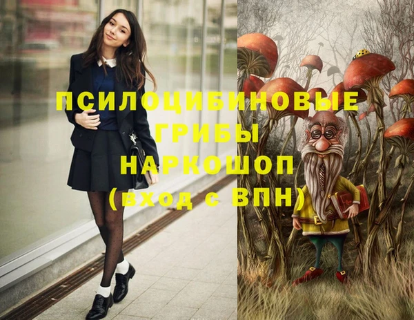 PSILOCYBIN Алексин