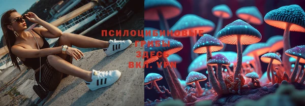 меф Алзамай