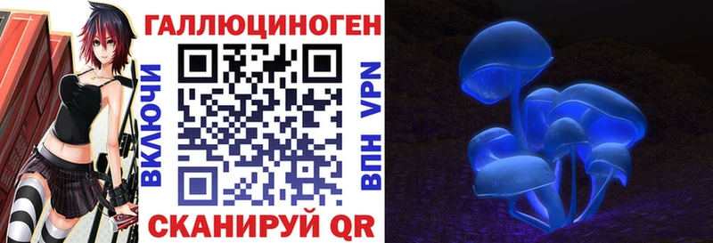 Галлюциногенные грибы GOLDEN TEACHER  как найти закладки  Тамбов 