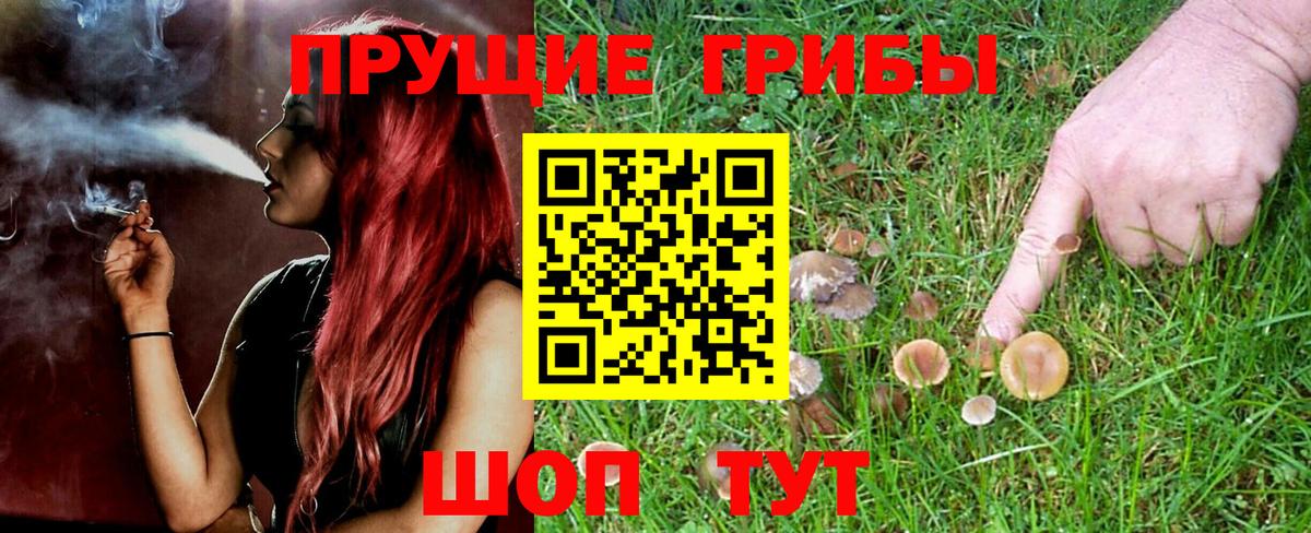 Псилоцибиновые грибы Psilocybe  Галлюциногенные грибы Psilocybine cubensis  Вход с VPN  Тамбов 