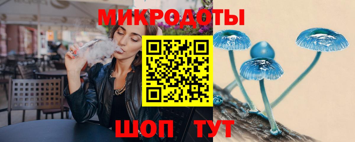 Псилоцибиновые грибы Psilocybe Тамбов