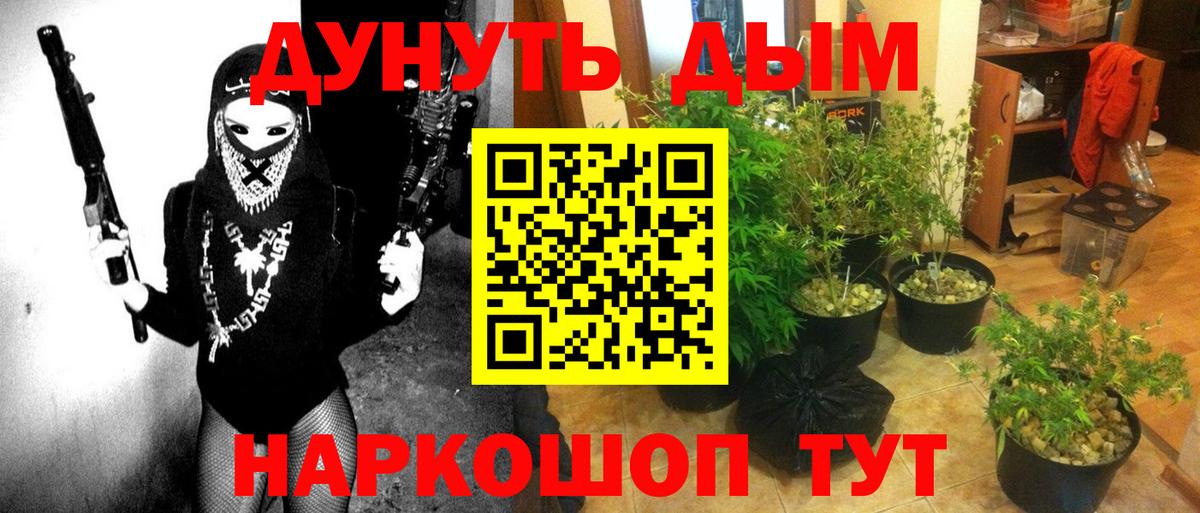 Конопля AK-47 Тамбов